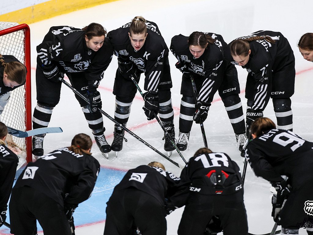 Челябинская команда «Белые медведицы» выбыла из борьбы за Кубок ЖХЛ