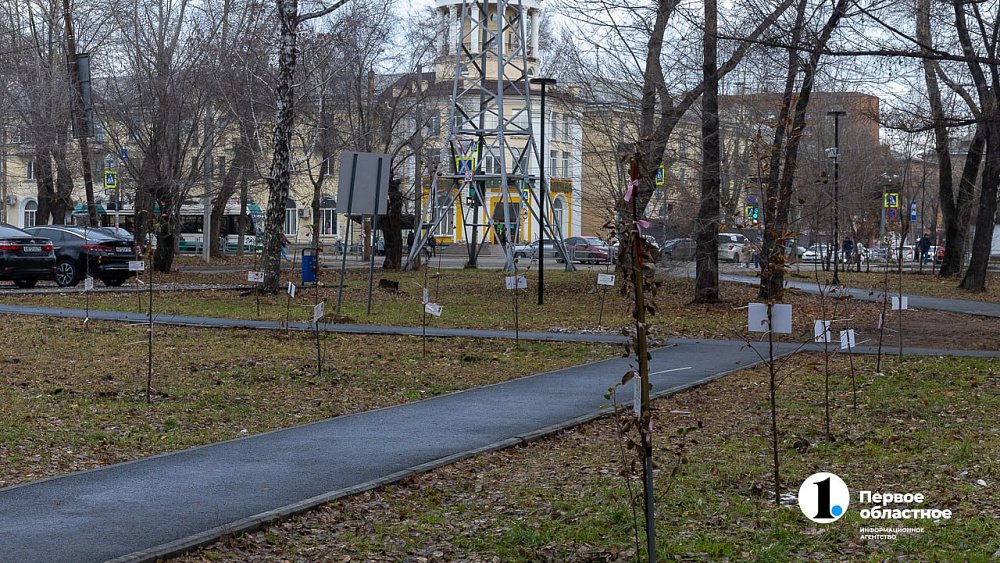 Многодетные семьи в Челябинской области получат бесплатные участки вне зависимости от возраста детей