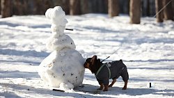 Свидетели последнего снега: мощная оттепель выгнала челябинцев в парки и скверы