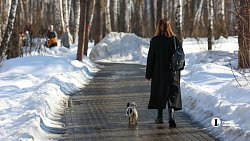 Свидетели последнего снега: мощная оттепель выгнала челябинцев в парки и скверы