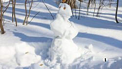 Свидетели последнего снега: мощная оттепель выгнала челябинцев в парки и скверы