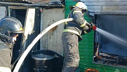 В Челябинске сотрудники МЧС спасли женщину и ребенка на пожаре