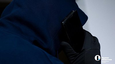 Челябинка перевела мошенникам 5,7 млн рублей при попытке купить иномарку из-за границы
