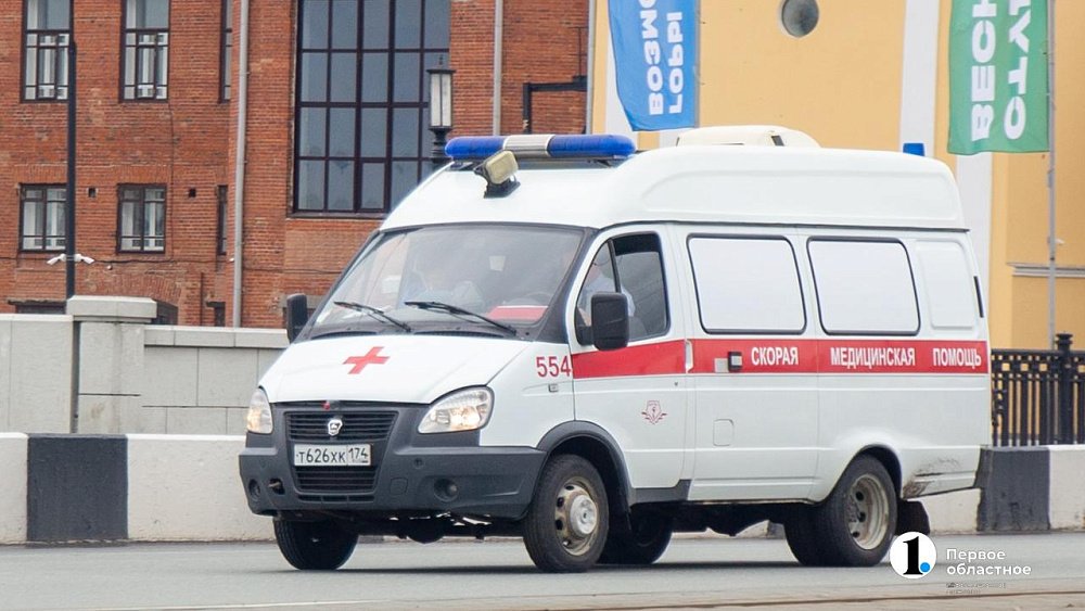 Стая бродячих собак искусала пятилетнюю девочку в Златоусте