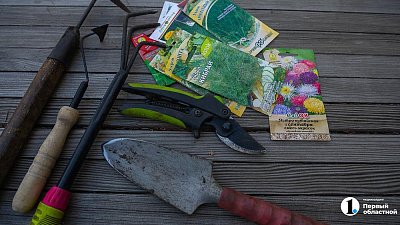Челябинцы закладывают на подготовку к дачному сезону 26 000 рублей