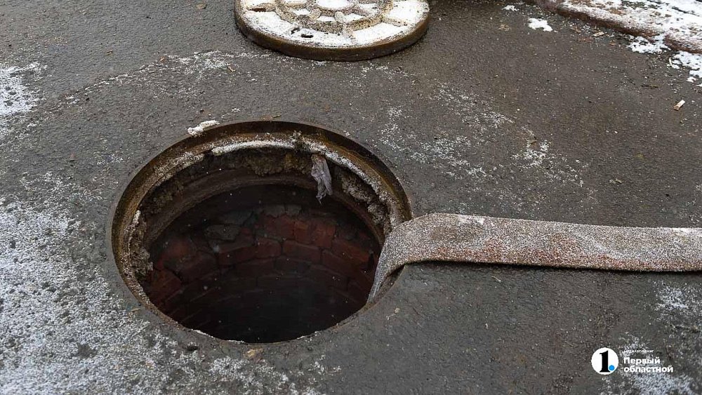 Сотрудники водоканала спасли упавших в колодец собак в Магнитогорске