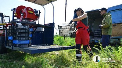 В Челябинской области 226 человек смогут поступить в ЮУрГАУ по целевому набору