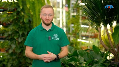 Весенние хлопоты для садоводов