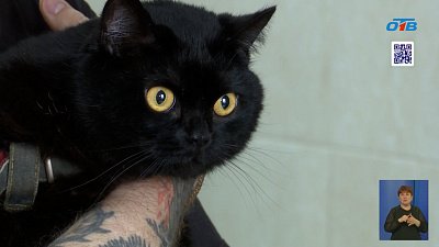 На Южном Урале решают проблему корма для домашних животных