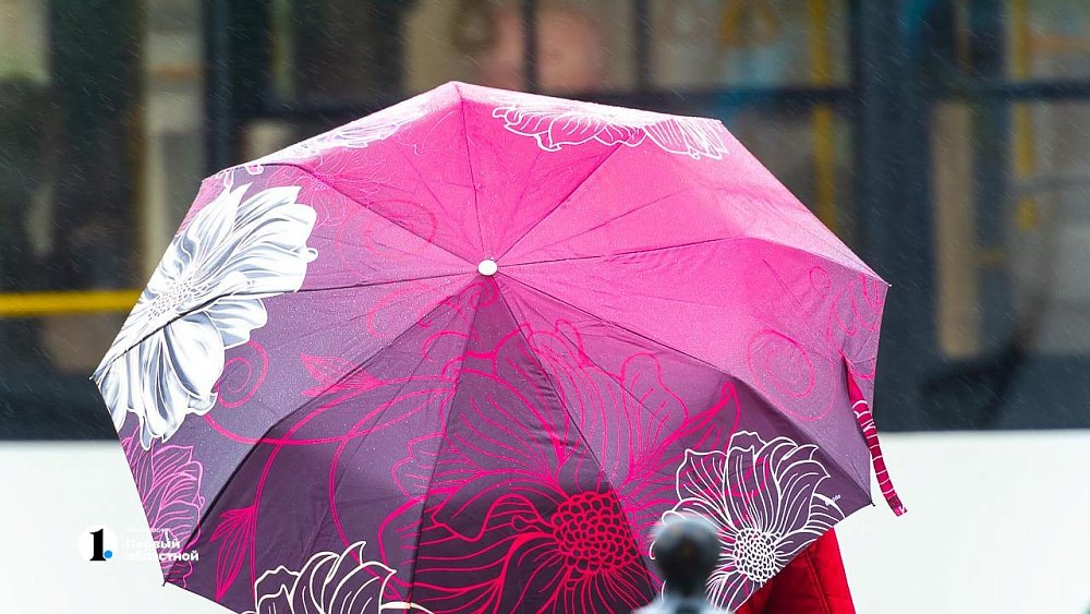 Дождь и усиление ветра обещают синоптики в Челябинской области 21 марта