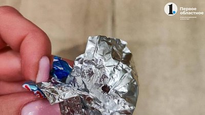 На Южном Урале с собак начали снимать клещей, способных переносить боррелиоз