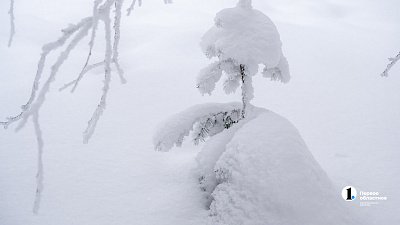 Аномально высокие сугробы сохраняются на юге Челябинской области