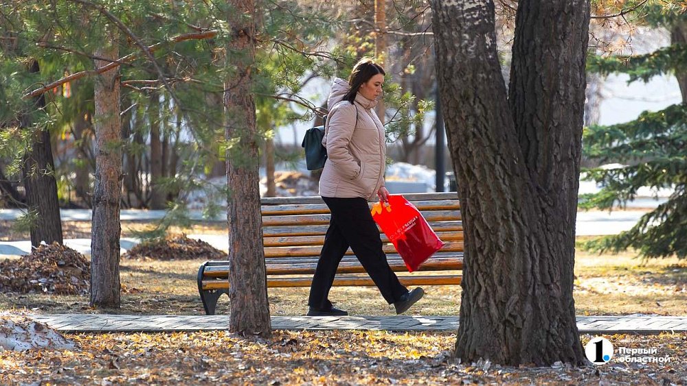 Западный ветер принесет в Челябинскую область тепло до +11°C 23 марта