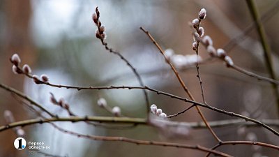 В Челябинской области сохраняется температура, превышающая норму на 8 градусов