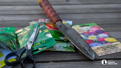 Что жители Челябинской области садят на участках весной‑2026