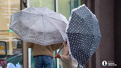 Дождь и усиление ветра пообещали жителям Челябинской области 25 марта