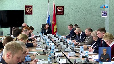 В Заксобрании Челябинской области прошло заседание комитета по социальной политике