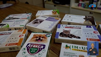 На Южном Урале пробудились клещи