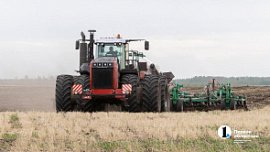 Челябинская область нарастила агроэкспорт до 280 млн долларов