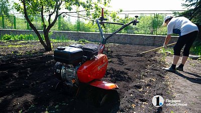 Владельцев дач предупредили о новом риске: как не лишиться участка после 1 сентября