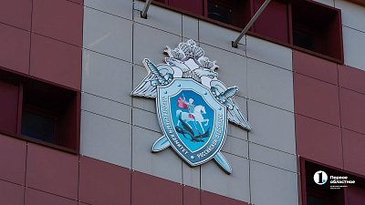 Пять человек пострадали от нападения стаи собак в поселке в Челябинской области