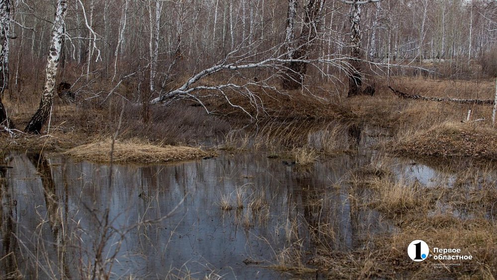 Паводок в Оренбургской области отнесли к ЧС федерального характера