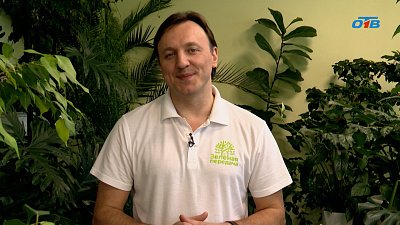 Весенние заботы садоводов