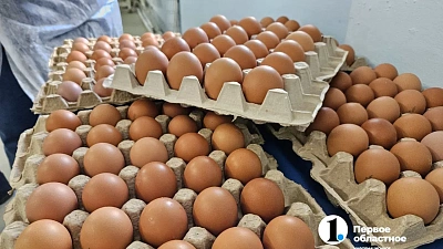 В Челябинской области в феврале выросли цены на яйца, овощи и хлеб