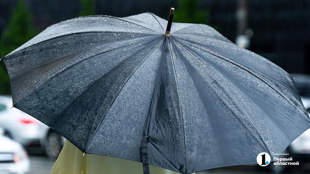 В Челябинске продают зонт за 23 тысячи рублей