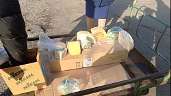 В Челябинской области расплавили почти 10 кг санкционного сыра