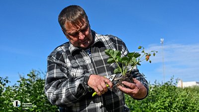С приходом весны‑2026 дачники Челябинска в 4 раза чаще стали закупать лопаты