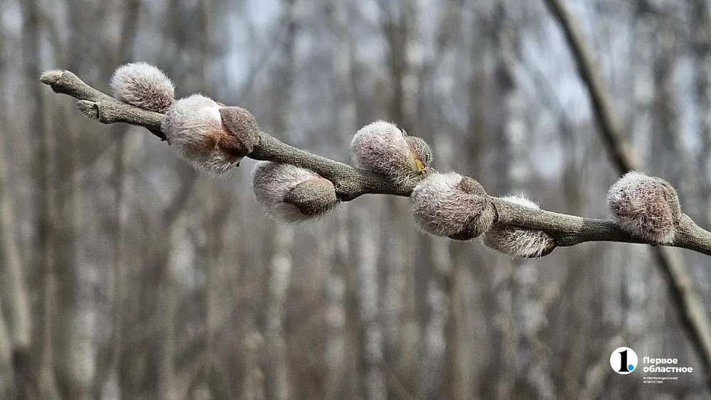 Летние +20 задержатся в Челябинской области до конца марта