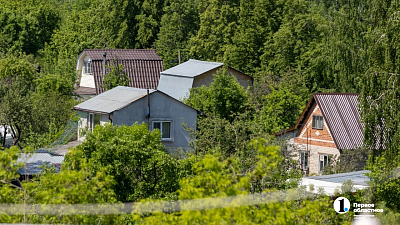 Россиянам грозит срок за выращивание определенного вида шалфея