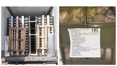 Более 16 тонн винограда развернули на российско-казахстанской границе под Челябинском