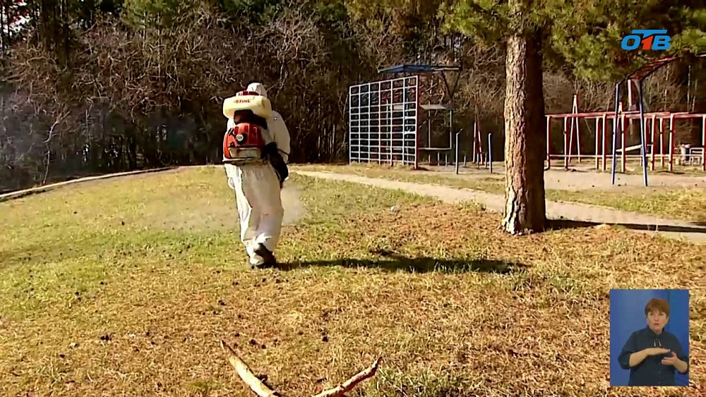 На Южном Урале зарегистрированы случаи укуса клеща