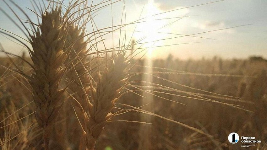 Сельхозпроизводители Южного Урала вышли на рынки Японии и Филиппин