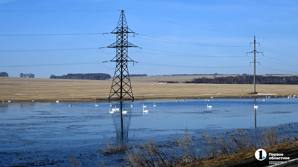 На озера Челябинской области к началу апреля прилетели лебеди