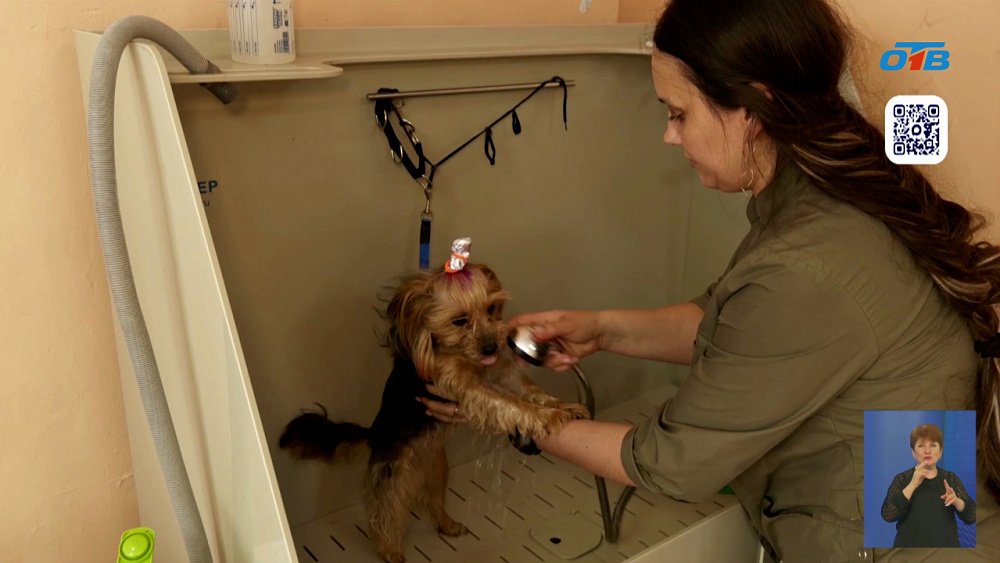 Жительница Кыштыма заключила соцконтракт и открыла салон для хвостатых