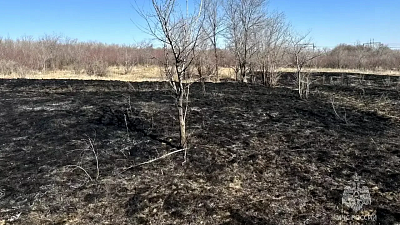 На Южном Урале за сутки потушено два крупных ландшафтных пожара