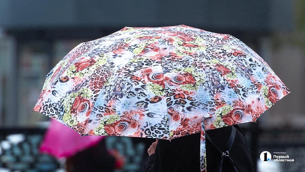 Дожди придут на смену солнцу в Челябинской области 3 апреля