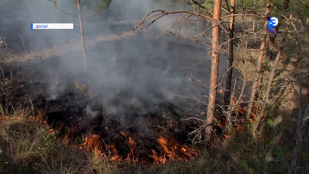 На Южном Урале объявлен пожароопасный сезон