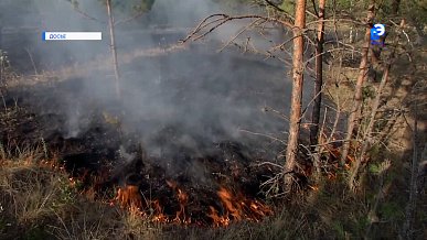 Телефакт от 02.04.2026