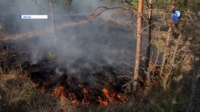 На Южном Урале объявлен пожароопасный сезон
