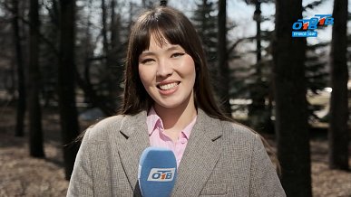 Мнения челябинцев в опросе «День вечеринки»