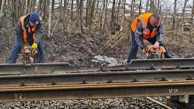 Названа предварительная причина схода пассажирского поезда Москва — Челябинск