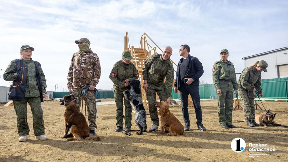 Челябинск отправил служебных собак в зону СВО для поиска пропавших