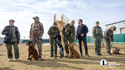 Челябинск отправил служебных собак в зону СВО для поиска пропавших