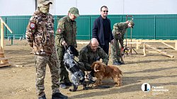 Челябинск отправил служебных собак в зону СВО для поиска пропавших