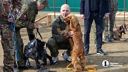 Челябинск отправил служебных собак в зону СВО для поиска пропавших