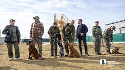 Челябинск отправил служебных собак в зону СВО для поиска пропавших